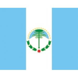 Bandera Flameo Neuquén Poliamida 90X150 - NEU
