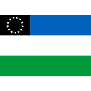 Bandera Flameo Río Negro Poliamida 90X150 - RNE